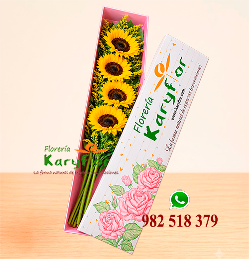 CAJA DE 4 GIRASOLES