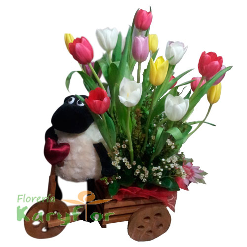 Triciclo de madera con 20 tulipanes y peluche ovejita(Consultar Stock del peluche) , incluye tarjeta de dedicatoria Pueden adicionarles chocolates ingresando a opcion REGALOS en la parte superior de la Pag. web